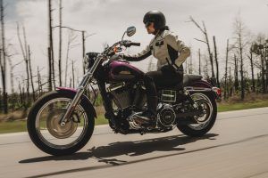 Harley Davidson Harley Davidson Dyna Low Rider 2017 2017 Ficha Técnica y Precio