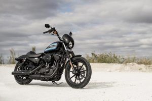 Harley Davidson Sportster Iron 1200 2018 2018 Ficha Técnica y Precio